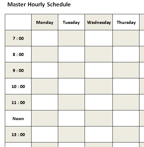 Hourly Schedule
